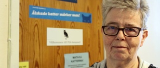 Här tas hemlösa katter om hand