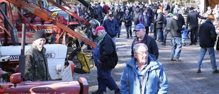 BILDEXTRA: Veteranskogsdag lockade storpublik