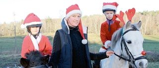 Hästarna är julfina hos Gamleby ridklubb