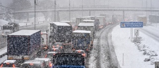 Vita Hästens buss fast i kaoset