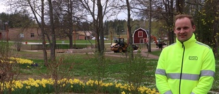 Stor blomsterprakt i parken redan