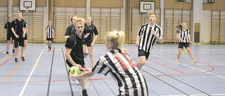 Ett fartfyllt handbollsmästerskap