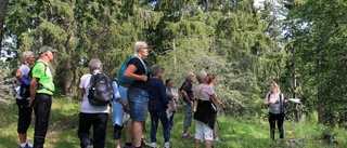 Vacker guidning i naturreservatet