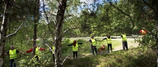 Skallgång efter Lollo