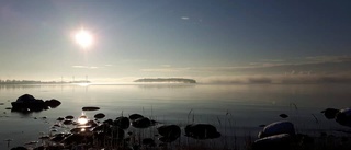 Vacker vy blev vinnaren i januari