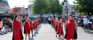 En fartfylld konsert med Mojje