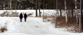 Cykelbanan till Alviken får kritik