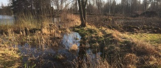 Olovlig grävning hotade bli katastrof