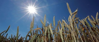 Välj ekologiskt för att rädda naturen