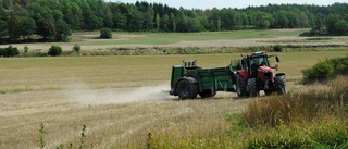 Därför kalkar lantbrukarna sina åkrar