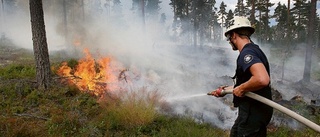 Brandflyget upptäckte skogsbrand