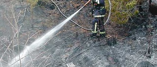 Ännu en skogsbrand