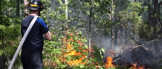 VARNINGEN: Mycket stor risk för skogsbrand