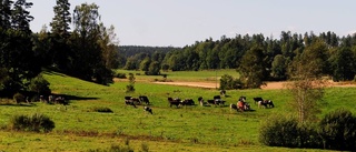 Landsbygdspartiet startar länsförbund