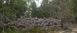 Brist på betesdjur kan fördröja insatser i naturreservat