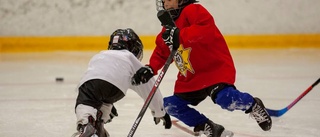 Här får de finbesök på sommarhockeyn