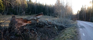 Alfrida gjorde hundratals strömlösa