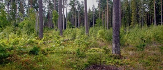 Listan: Här är toppen och botten