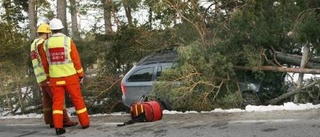 Lindriga skader sedan ett träd rammats i Rute