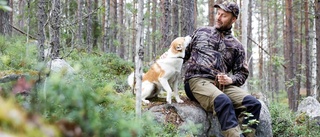 Så tränar du hund inför jaktprovet