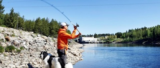 Så fångar du fina fisken i sommar