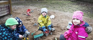 "Ingen annan förskola på Gotland har lamm"