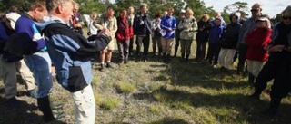 Synar och smakar öns sällsamma flora