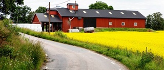 Så ska regionen hindra bråk mellan grannar