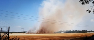 Gräsbrand i Klintehamn - fyra hektar brann