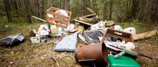 Ytterligare en sopdumpning i naturen