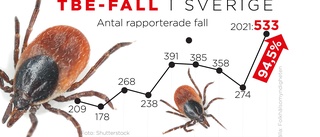 Rekordmånga fall av TBE