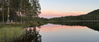 Läsarbilden: Fin höstkväll vid vatten