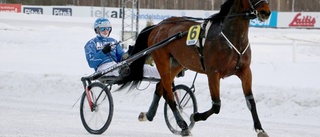 Miljonären i säkra händer