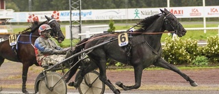 Piteåseger på Solvalla