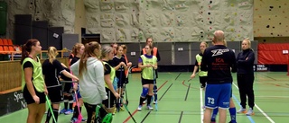 Nygammalt samarbete i innebandy