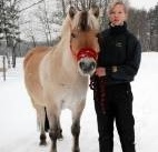 Show med häst i fokus