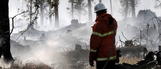 Svårt för djuren med torka och bränder