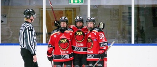 Luleå/MSSK nollade Brynäs