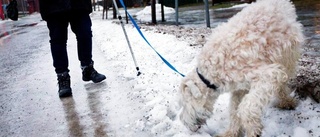 Het sporthandel i snöbristens spår