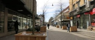 Körsbärsträd planteras i centrum