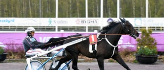 Stjärnhästen testas i dubbla miljonloppet