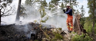 Skogsbrand i Älvsbyn