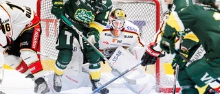 "Rinkråttan" ser upp till NHL-legendaren