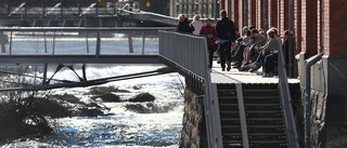 Satsa på folkhälsan i Norrköping med en grönare stad 