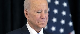 Biden: Vi får se om Ryssland fullföljer