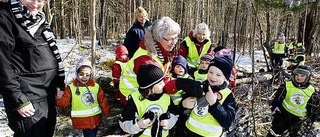 Nästan enkönade arbetsplatser