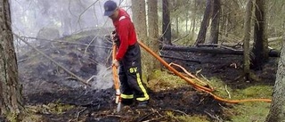 Svårsläckt skogsbrand i Lunsen