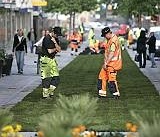 Gröna mattan rullades ut för blomsterkungen