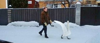 Svan tog fel på strand