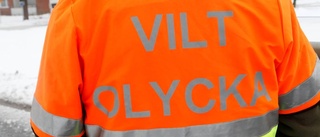 Viltolyckorna ökar